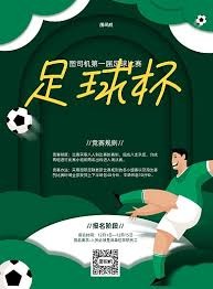 女性观众在足球世界杯中的崛起与挑战